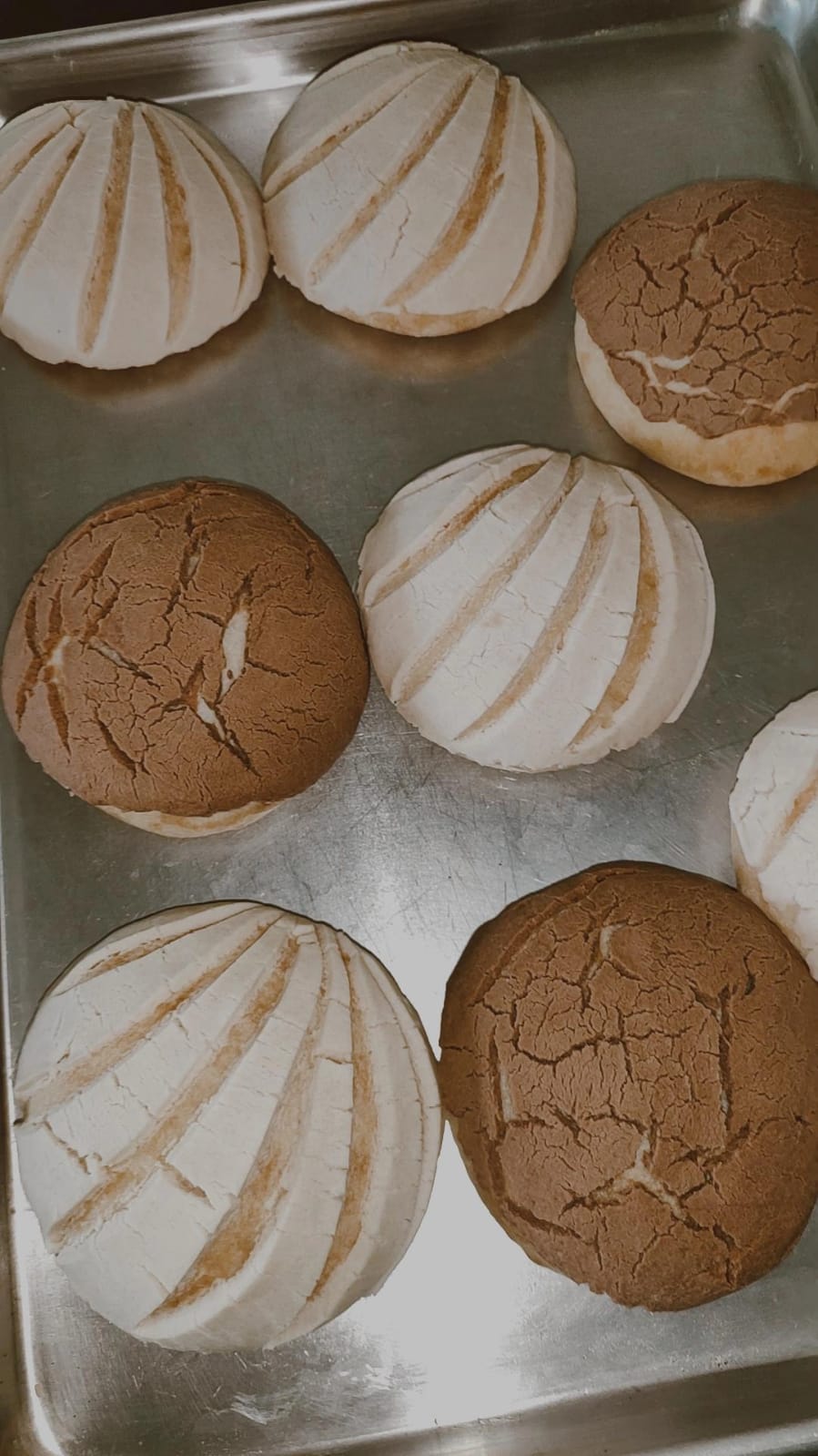 Conchas